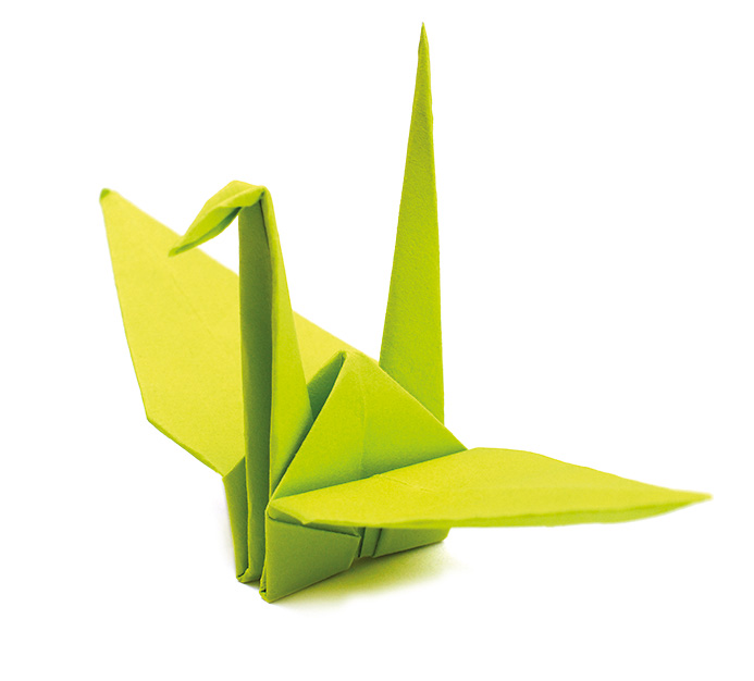 cisne verde