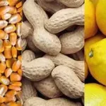 Agroindustria representa el 61% de las exportaciones argentinas