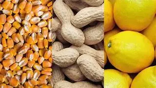 Agroindustria representa el 61% de las exportaciones argentinas