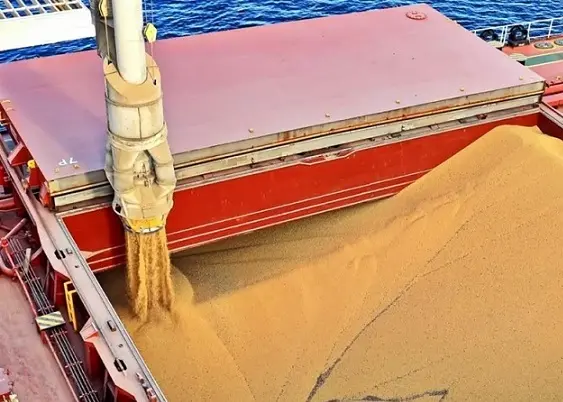 Boom granelero Brasil y Argentina