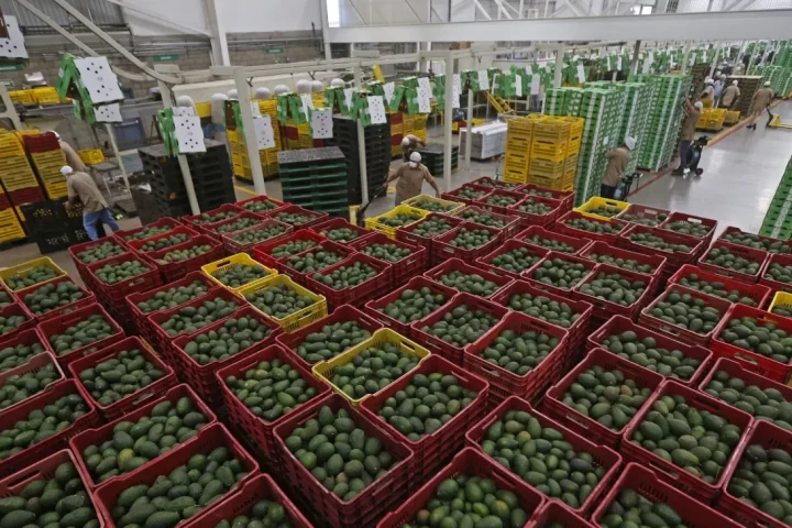 México se refugia en el T-MEC