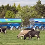 Nueva Zelandia el gran exportador de lácteos