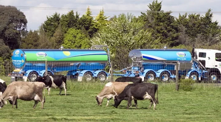 Nueva Zelandia el gran exportador de lácteos