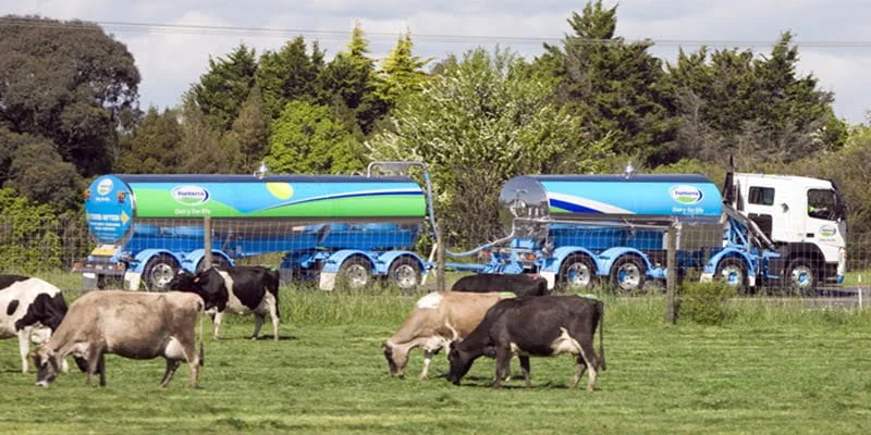 Nueva Zelandia el gran exportador de lácteos