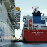 El mercado del bunker