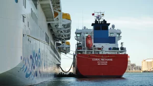 El mercado del bunker