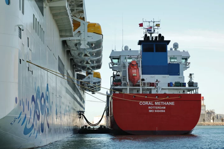 El mercado del bunker