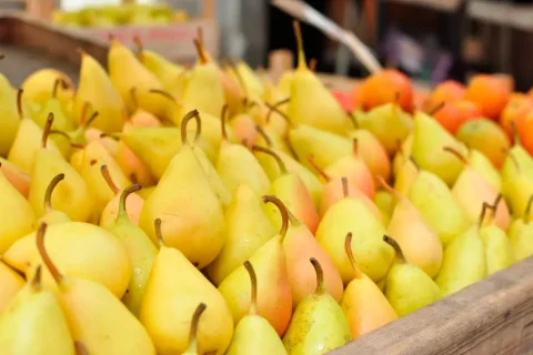 El mercado mundial de la pera
