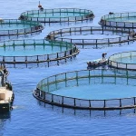 Brasil: un millón de toneladas en piscicultura