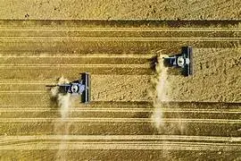 En 2026 EEUU busca reducir déficit comercial agrícola