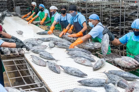 Ecuador liderazgo mundial en exportación de atún