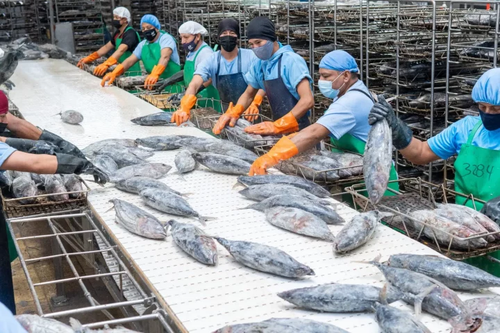 Ecuador liderazgo mundial en exportación de atún