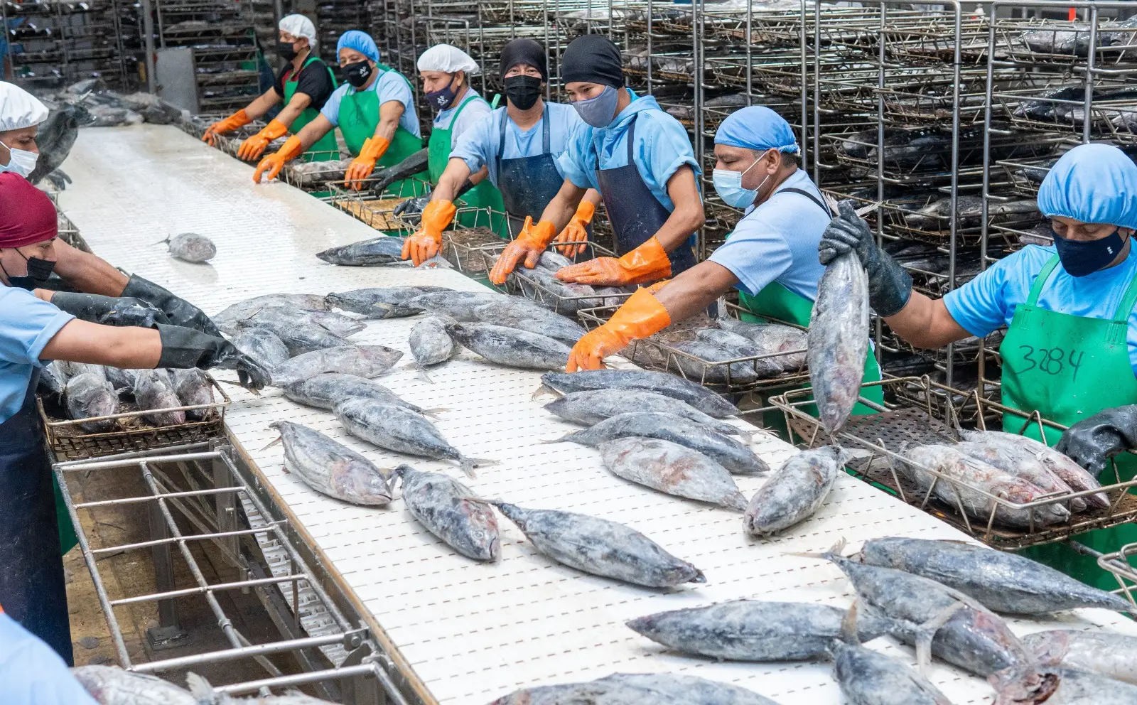 Ecuador liderazgo mundial en exportación de atún