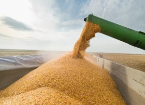 Granos: embarques primer trimestre