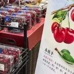 Desafíos de mover alimentos frescos.