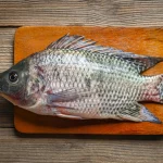 La tilapia llega a Paraguay