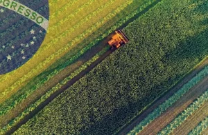 Brasil el gigante de los agronegocios