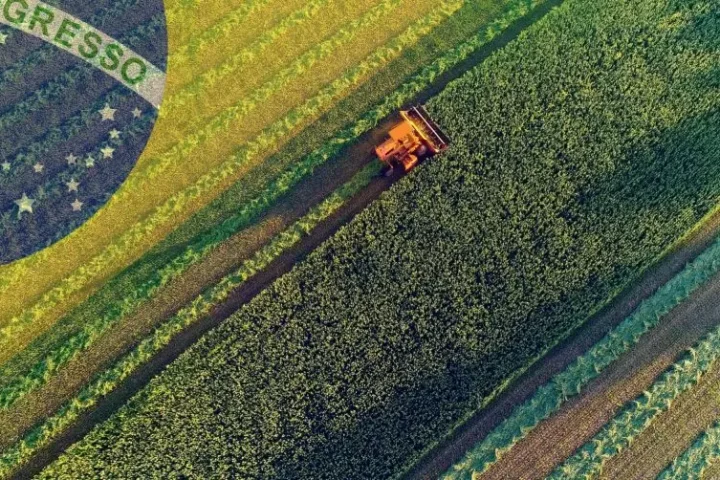 Brasil el gigante de los agronegocios