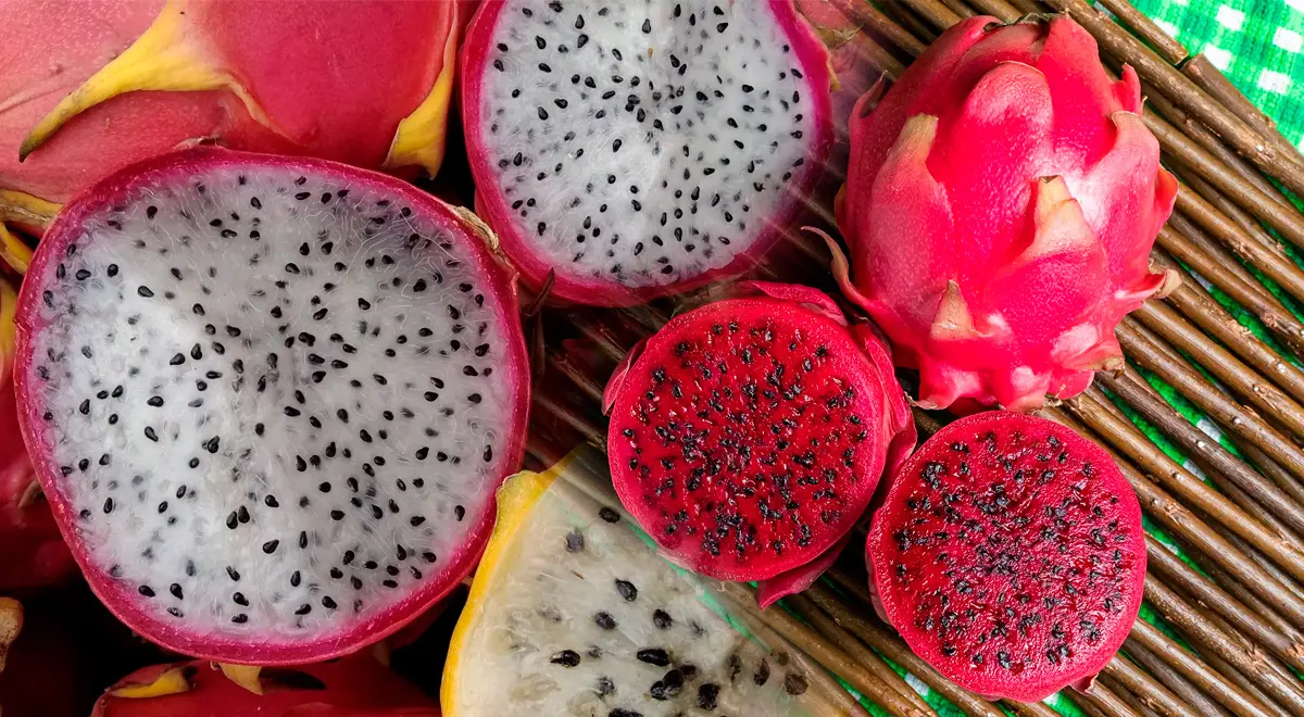 Pitahaya ecuatoriana