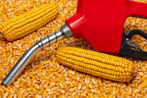 huella de carbono del etanol de maíz