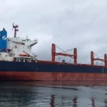 Mercado de graneles en la Costa Oeste de Sudamérica