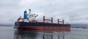 Mercado de graneles en la Costa Oeste de Sudamérica