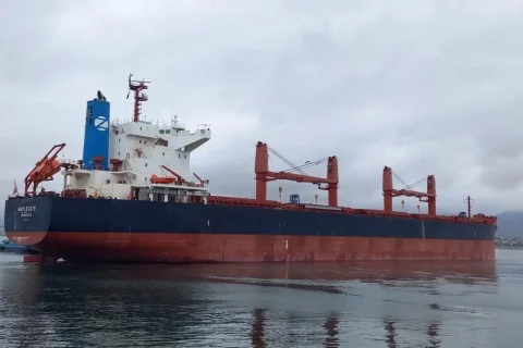 Mercado de graneles en la Costa Oeste de Sudamérica