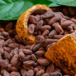 Colombia consolida sus exportaciones de cacao