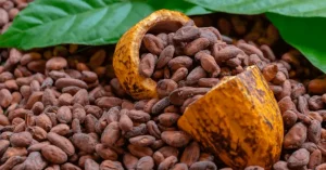 Colombia consolida sus exportaciones de cacao