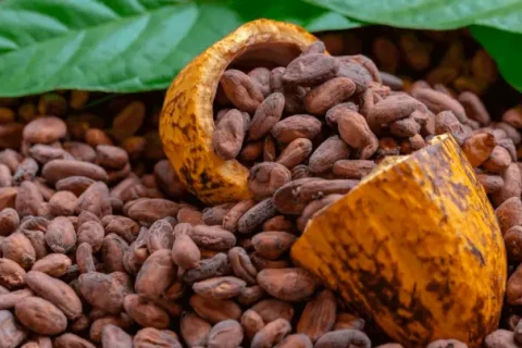 Colombia consolida sus exportaciones de cacao
