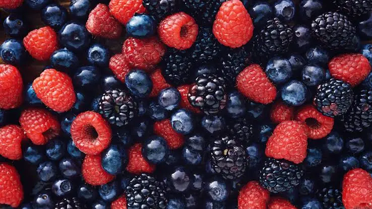 México consolida su liderazgo en la exportación de berries