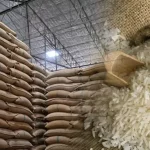 El arroz del Mercosur enciende la primera señal de un cambio de ciclo