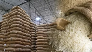 El arroz del Mercosur enciende la primera señal de un cambio de ciclo