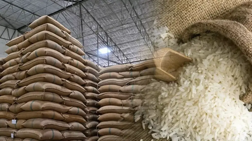 El arroz del Mercosur enciende la primera señal de un cambio de ciclo