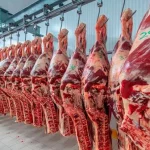 Mercosur negocia contingente de carne a UE