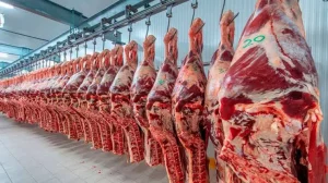 Mercosur negocia contingente de carne a UE