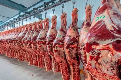 Mercosur negocia contingente de carne a UE