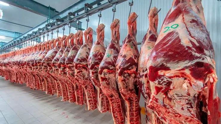 Mercosur negocia contingente de carne a UE