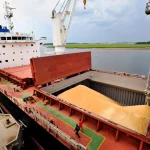 Puertos argentinos récord semestral de toneladas agroindustriales