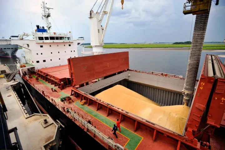 Puertos argentinos récord semestral de toneladas agroindustriales