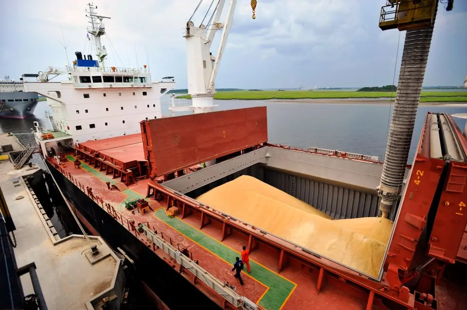 Puertos argentinos récord semestral de toneladas agroindustriales
