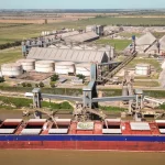 Los embarques mundiales de granos crecen 13%