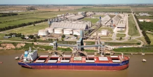 Los embarques mundiales de granos crecen 13%