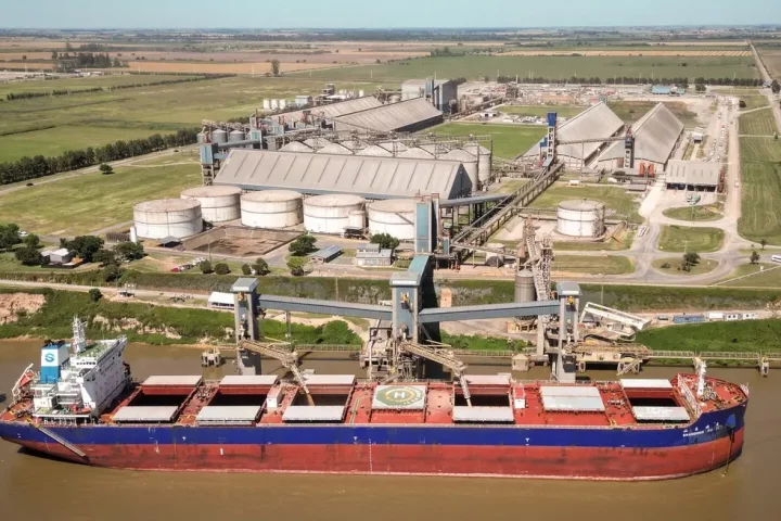 Los embarques mundiales de granos crecen 13%