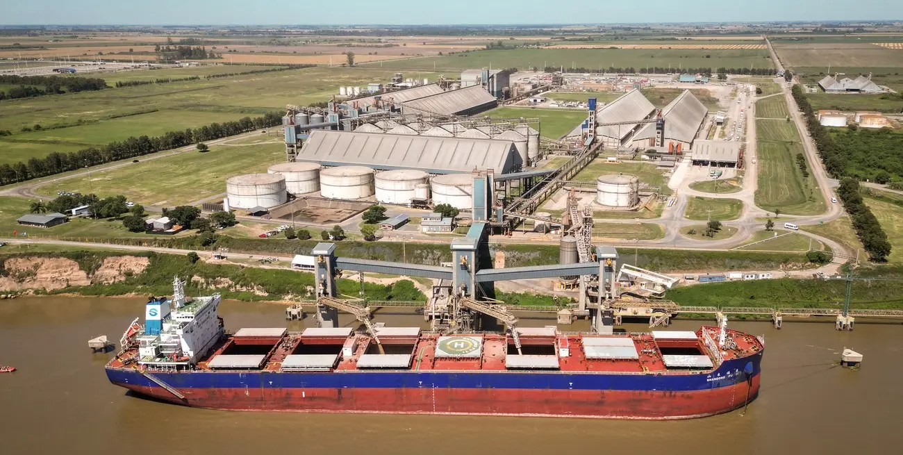 Los embarques mundiales de granos crecen 13%