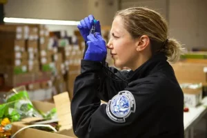 Estados Unidos endurece la fiscalización aduanera