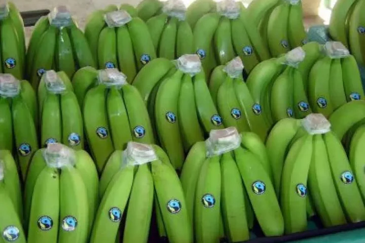 Exportación banano colombiano