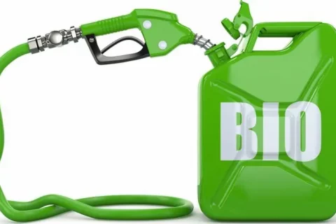 America Latina lider en biocombustibles