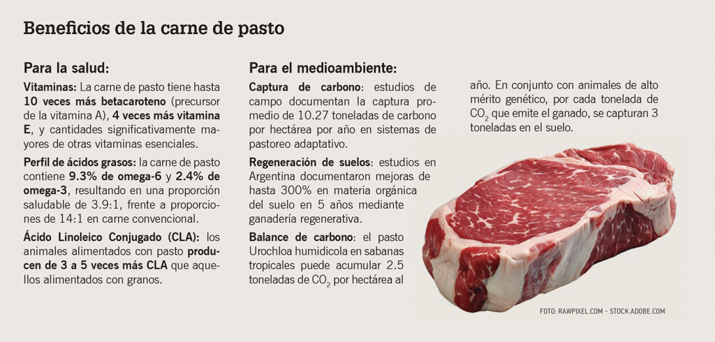 Beneficios de la carne de pasto