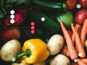 El sector hortofrutícola español